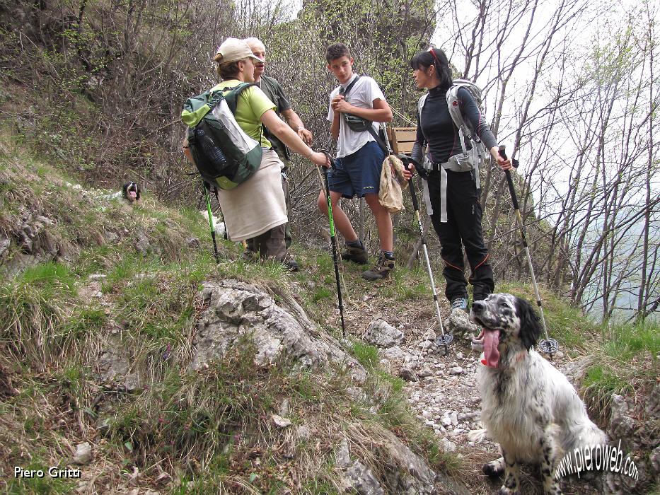 89 Cacciatore porta pernici per ripopolamento.jpg